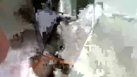 Snapshot of ryucravenmore chatting on 10/14/25, 03:35 ryucravenmore online show from 10/14/25, 03:35