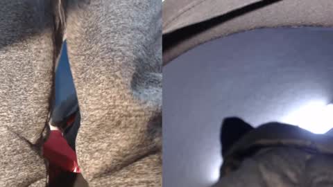 Ryushi009 online show from 01/21/25, 05:38