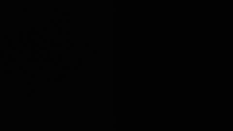 Ryushi009 online show from 01/21/25, 08:41