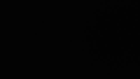 Ryushi009 online show from 01/24/25, 03:32