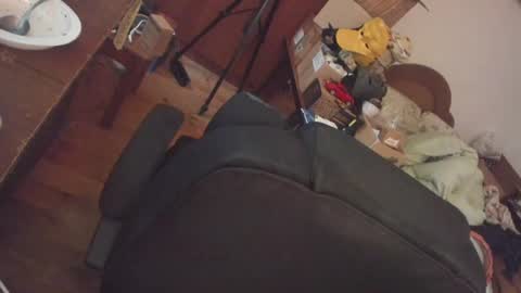 1141323  my Lord Mister Max   moms treasure online show from 08/06/26, 06:04