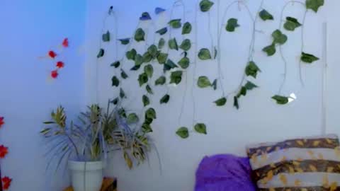 SABRI online show from 02/22/26, 03:21