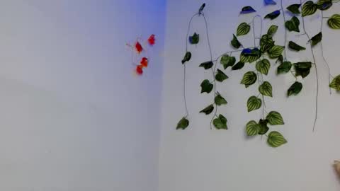 SABRI online show from 04/10/26, 01:38