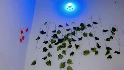 SABRI online show from 04/17/26, 07:17