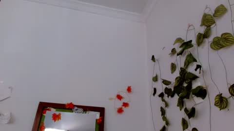 SABRI online show from 06/17/26, 04:41