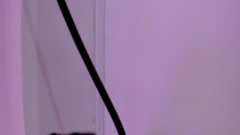 Sabrina Warren online show from 01/23/25, 05:52