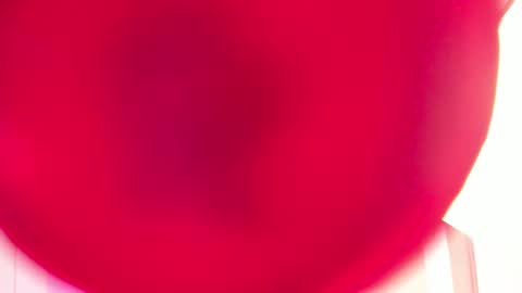 Sabrina Warren online show from 02/27/25, 11:41