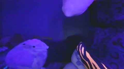 Snapshot of saddybaddie chatting on 03/13/26, 06:09 saddybaddie online show from 03/13/26, 06:09