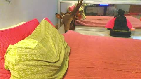 xxSeXSouLxx online show from 05/30/26, 01:57