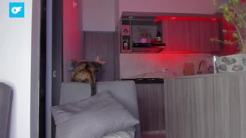 Snapshot of sag_1998 chatting on 01/21/25, 01:50 Sag online show from 01/21/25, 01:50