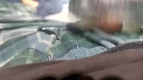 Snapshot of sagozure chatting on 10/05/25, 01:59 sagozure online show from 10/05/25, 01:59