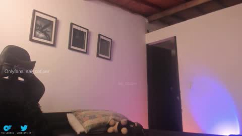 sai online show from 01/14/26, 11:31