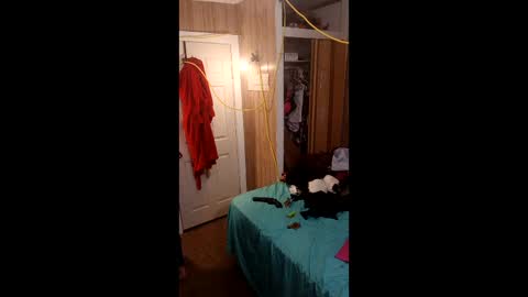 PupTwink online show from 03/01/26, 10:34