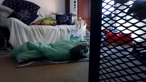 Snapshot of salis1981 chatting on 02/07/25, 12:31 salis1981 online show from 02/07/25, 12:31