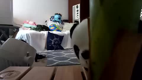 Snapshot of salis1981 chatting on 02/08/25, 01:54 salis1981 online show from 02/08/25, 01:54