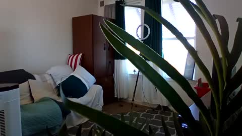 Snapshot of salis1981 chatting on 03/03/25, 05:39 salis1981 online show from 03/03/25, 05:39