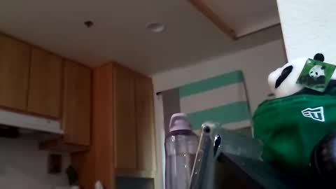 Snapshot of salis1981 chatting on 09/18/25, 07:49 salis1981 online show from 09/18/25, 07:49