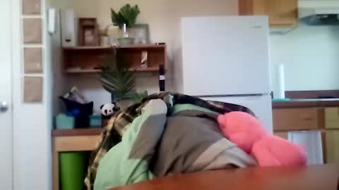 Snapshot of salis1981 chatting on 10/16/25, 06:31 salis1981 online show from 10/16/25, 06:31