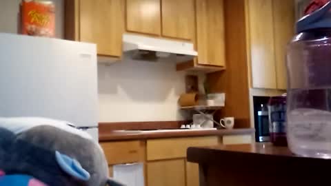 salis1981 online show from 12/18/25, 06:58