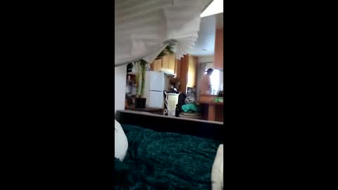 salis1981 online show from 03/12/26, 06:58