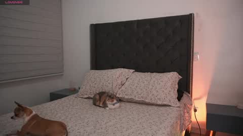Snapshot of salomedyla chatting on 05/12/26, 01:47 salomedyla online show from 05/12/26, 01:47