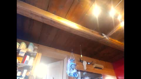 salsapaulus online show from 04/13/26, 12:10