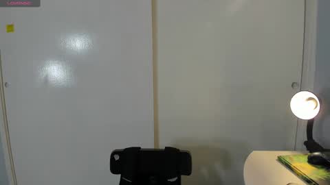 Snapshot of salvatore_montt chatting on 03/09/25, 04:49 salvatore_montt online show from 03/09/25, 04:49