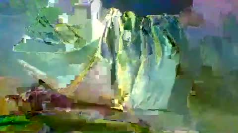 sam223382879 online show from 12/27/24, 10:59