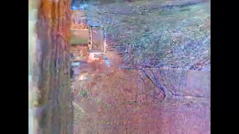 Snapshot of sam5554401727 chatting on 04/26/26, 08:28 sam5554401727 online show from 04/26/26, 08:28
