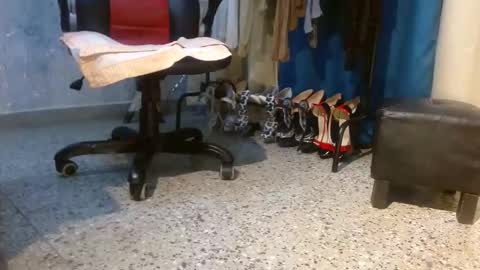 samanta online show from 02/03/26, 11:15