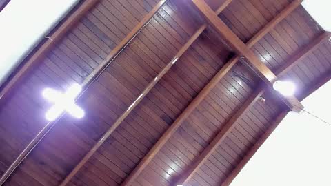 Sofia  online show from 12/06/24, 02:17