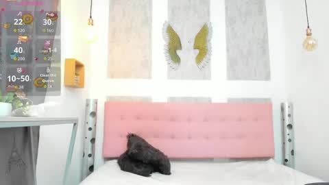    online show from 04/21/26, 11:16