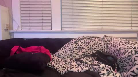 samanthafever online show from 04/11/26, 02:38
