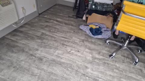 Snapshot of samboiamtho chatting on 01/03/25, 12:43 samboiamtho online show from 01/03/25, 12:43