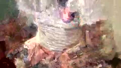 Snapshot of samboiamtho chatting on 11/01/25, 01:07 samboiamtho online show from 11/01/25, 01:07