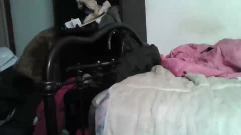 Samedisamedi1nouveau online show from 12/05/25, 05:42