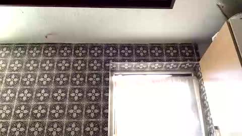 samegee online show from 09/18/25, 07:21