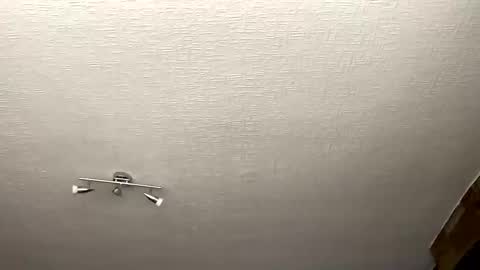 samegee online show from 10/01/25, 07:25