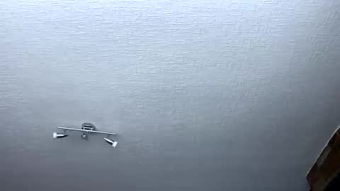 samegee online show from 10/06/25, 07:28