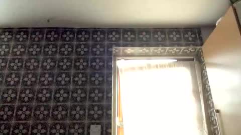 samegee online show from 10/16/25, 07:20