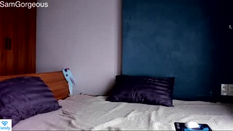 Snapshot of samgorgeous chatting on 12/09/24, 09:06 Fansly - Top4fans online show from 12/09/24, 09:06