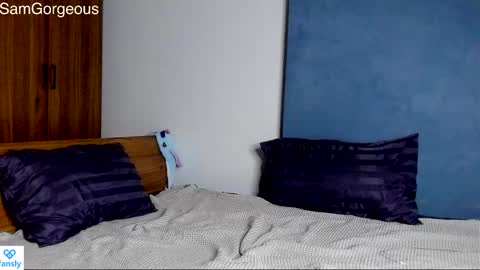 Snapshot of samgorgeous chatting on 12/09/24, 03:11 Fansly - Top4fans online show from 12/09/24, 03:11