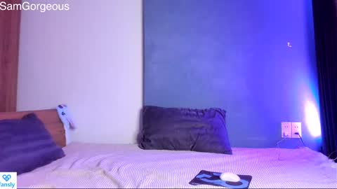 Snapshot of samgorgeous chatting on 12/14/24, 08:08 Fansly - Top4fans online show from 12/14/24, 08:08