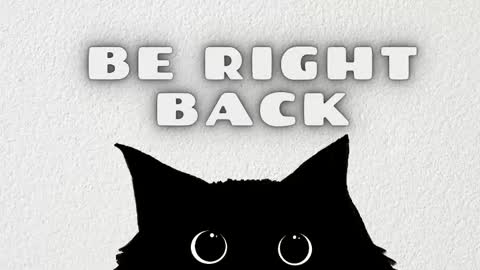 Sami and Lee online show from 02/08/26, 11:46