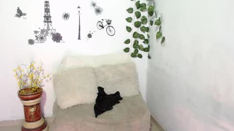 Snapshot of samira_lennox chatting on 01/08/25, 01:42 SAMIRA online show from 01/08/25, 01:42