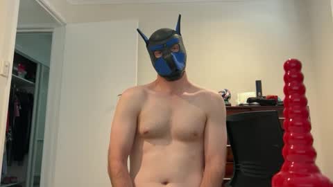 Sam online show from 02/11/25, 12:28