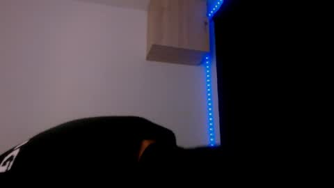 Snapshot of samuel_suarez chatting on 12/29/24, 03:00 online show from 12/29/24, 03:00