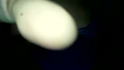 Snapshot of samuel_xlive287494 chatting on 06/20/26, 02:14 samuel_xlive287494 online show from 06/20/26, 02:14