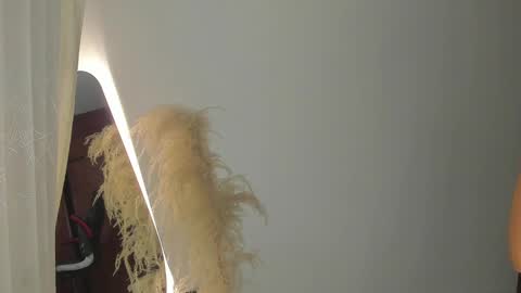 Snapshot of samy_jonnes_ chatting on 02/19/25, 11:25 Hello I am absent due to a family calamity I will return soon-hola estoy ausente por un problema familiar volvere pronto. online show from 02/19/25, 11:25