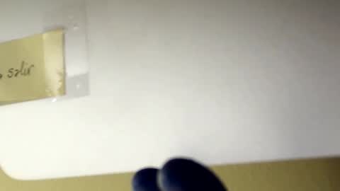 sanbig69 online show from 12/06/24, 05:11